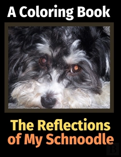 Bertrand.pt - The Reflections Of My Schnoodle