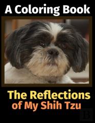 The Reflections Of My Shih Tzu