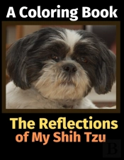 The Reflections Of My Shih Tzu