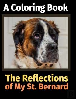 Bertrand.pt - The Reflections Of My St. Bernard