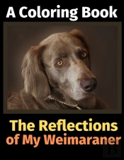 The Reflections Of My Weimaraner: A Colo