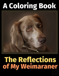 Bertrand.pt - The Reflections Of My Weimaraner: A Colo