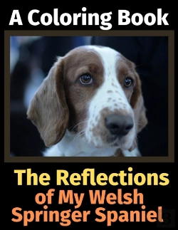 Bertrand.pt - The Reflections Of My Welsh Springer Spa