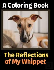 The Reflections Of My Whippet