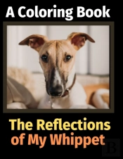 The Reflections Of My Whippet