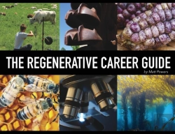 Bertrand.pt - The Regenerative Career Guide
