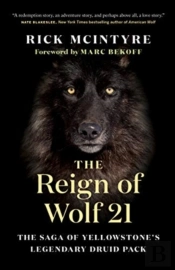 The Reign Of Wolf 21