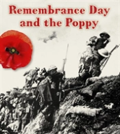 The Remembrance Day And The Poppy