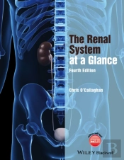 The Renal System At A Glance