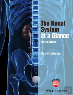 Bertrand.pt - The Renal System At A Glance