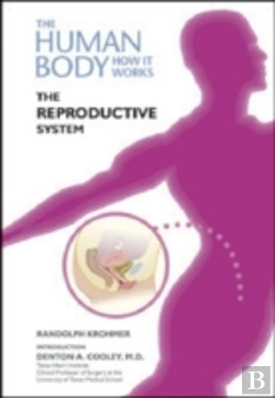 Bertrand.pt - The Reproductive System
