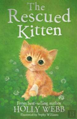 Bertrand.pt - The Rescued Kitten
