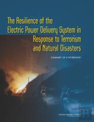 The Resilience Of The Electric Power Delivery System In Response To Terrorism And Natural Disasters