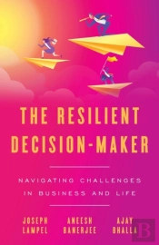 The Resilient Decision-Maker