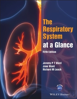 Bertrand.pt - The Respiratory System At A Glance