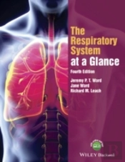 The Respiratory System At A Glance