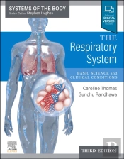 The Respiratory System