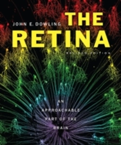 Bertrand.pt - The Retina