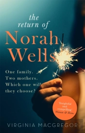 The Return Of Norah Wells
