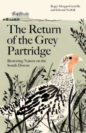 The Return Of The Grey Partridge