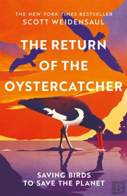 Bertrand.pt - The Return Of The Oystercatcher
