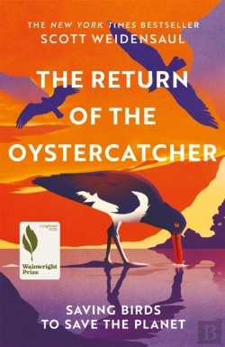 Bertrand.pt - The Return Of The Oystercatcher