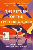 The Return Of The Oystercatcher