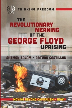Bertrand.pt - The Revolutionary Meaning Of The George Floyd Uprising