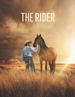 Bertrand.pt - The Rider