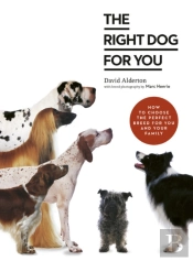 The Right Dog For You