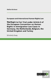 The Right To Fair Trial Under Article 6 Of The European Convention On Human Rights In Immigration Law Cases In Germany, The Netherlands, Belgium, The United Kingdom And Turkey