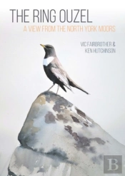 The Ring Ouzel