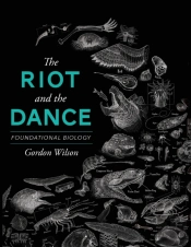 The Riot And The Dance: Foundational Bio