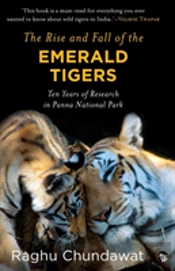 The Rise And Fall Of The Emerald Tigers