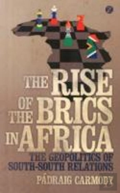 The Rise Of The Brics In Africa