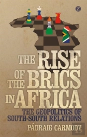 The Rise Of The Brics In Africa