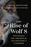 The Rise Of Wolf 8
