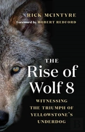 The Rise Of Wolf 8