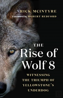 Bertrand.pt - The Rise Of Wolf 8