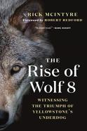 The Rise Of Wolf 8