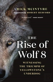 The Rise Of Wolf 8