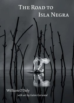 Bertrand.pt - The Road To Isla Negra