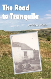 The Road To Tranquila