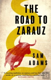 The Road To Zarauz