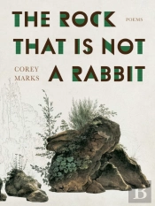 The Rock That Is Not A Rabbit