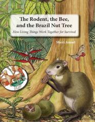 The Rodent, The Bee,  And The Brazil Nut Tree