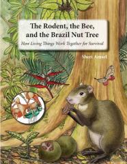 The Rodent, The Bee, And The Brazil Nut Tree