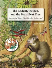 The Rodent, The Bee, And The Brazil Nut Tree
