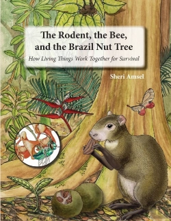 Bertrand.pt - The Rodent, The Bee, And The Brazil Nut Tree