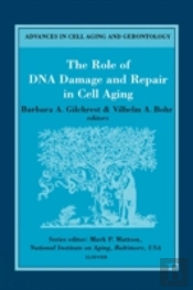 The Role Of Dna Damage And Repair In Cell Aging